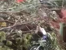 Satu Keluarrga Didalam Mobil Tewas Terdampak Material Longsor