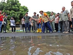 Kepala BNPB Tinjau Lokasi Terdampak Banjir di Kendal