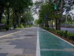 Jaga Keselamatan Pengguna Jalan, Pemkot Akan Tata Tanaman di Ruas Jalan