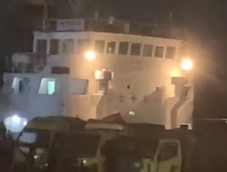 Terulang !, Bongkar Muat Babi di Dermaga Swasta Kubu Raya, KSOP Terjunkan Penyidik