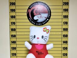 Modus Kirim Sabu Didalam Boneka Hello Kitty Terbongkar