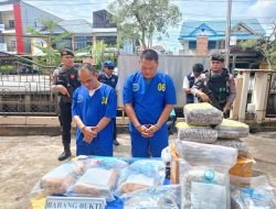 6 Kg Ganja Asal Aceh dan Sumatera Utara Dimusnahkan