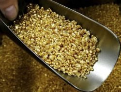 Ini Modus WNA China Keruk Emas di Ketapang  yang Ditangkap Kementerian ESDM dan Bareskrim Polri