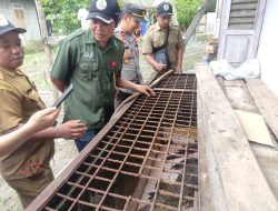 Buaya Muara Peliharaan Warga Akhirnya Dievakuasi Pihak BKSDA Bersama Polsek Jawai Selatan