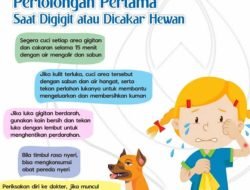 Ini Penanganan Dini Gigitan Hewan Perantara Rabies dengan Air dan Sabun