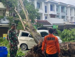 2 Korban Jiwa, 1 Luka Berat Akibat Angin Puting Beliung Terjang Deli Serdang