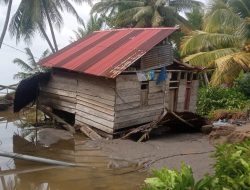 Ribuan Jiwa Terdampak Banjir di Halmahera Selatan