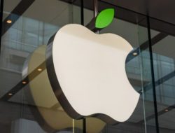 Apple Kembangkan Manajemen Aplikasi Kata Sandi