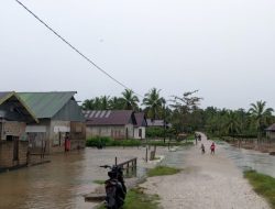 Tiga Kabupaten di Sulawesi Tenggara Dilanda Banjir