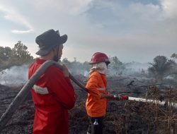 BMKG Himbau Waspada Dampak Musim Kemarau, Manggala Agni Tingkatkan Kesiapsiagaan
