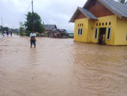 Sungai Pohu Meluap Tujuh Desa Terendam Banjir di Kabupaten Gorontalo 