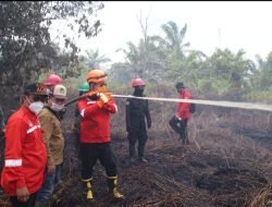 Semakin Meluas dan Mengkhawatirkan, Harisson Himbau Semua Pihak Gotong Royong Tangani Karhutla