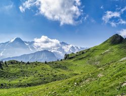 Ini Alasan Penyebabnya? Swiss akan Kurangi Pengunjung Pegunungan Alpen