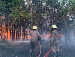 Kobaran Api Melahap Lahan Seluas Delapan Hektare di Kabupaten Bintan