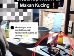 Pemilik Kos Diduga Konsumsi Daging Kucing karena Stres Diabetes