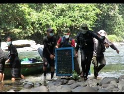 Pelepasliaran Orangutan di Taman Nasional Betung Kerihun Danau Sentarum: Mencetak Punggawa Peduli Konservasi Orangutan