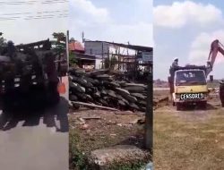 Dugaan Korupsi Aset Daerah: Kayu Bekas Dermaga Pelabuhan KM 9.2 Sungai Raya Diangkut Tanpa Proses Lelang