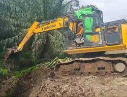 Kebocoran Kolam Penampungan Limbah Cair PT Ichiko Agro Lestari Telah Ditangani, Limbah yang Terlanjur Tercemar?