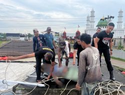 Tukang Bangunan Tewas Usai Tersengat Kabel Listrik PLN