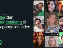 WhatsApp Munculkan Fitur dan Latar Belakang untuk Panggilan Video