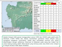 Hotspot Tak Terdeteksi, BMKG: Potensi Karhutla Kategori Aman