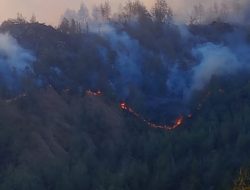 95 Persen Karhutla Kawasan Hutan BTNG Rinjani Berhasil Dipadamkan