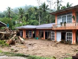 Satu Orang Dalam Pencarian Imbas Banjir Bandang di Kabupaten Limapuluh Kota