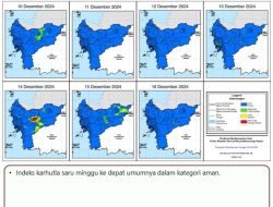 Curah Hujan Kembali, Kalbar Sementara Aman Karhutla