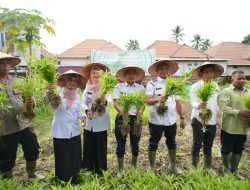 Gencarkan Gerakan Menanam Pekarangan di Kalangan ASN dan Warga