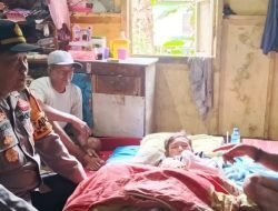 Anak 11 Tahun di Ketapang Diserang Buaya Saat Bersantai di Depan Rumah