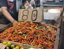 Masuki 2025, Terjadi Perubahan Harga Pada Sejumlah Bahan Pokok