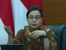 Berikut Daftar Barang Mewah Versi Sri Mulyani Resmi Naikkan PPN Barang Mewah Jadi 12 Persen!