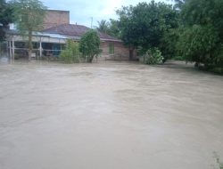 Banjir Melanda Serdang Bedagai, Ratusan Rumah Terendam