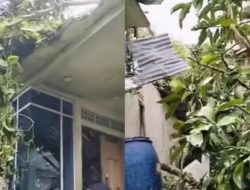 Dua Rumah di Kecamatan Pemangkat Terdampak Angin Kencang, BPBD Sambas Lakukan Peninjauan