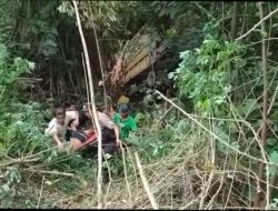 Truk Terjun ke Jurang di Jalan Trans Kalimantan, Dua Orang Tewas