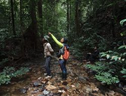 Mathias Aktivis Sosial dan Lingkungan Suarakan Pentingnya Pelestarian Hutan untuk Cegah Banjir di Kalimantan Barat