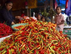 Harga Cabai Rawit Merah Setara Daging Sapi Perkilo, Bapanas Ungkap Penyebabnya