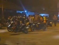 Viral! Pemilik Warung Kopi di Mempawah Diduga Tembak Kucing Liar, Warga Geram