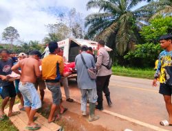 Truk Terguling di Jalan Trans Kalimantan, Istri Sopir Meninggal di Tempat