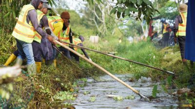 Petugas membersihkan dan menormalisasi parit dalam upaya mengatasi genangan air. Langkah ini merupakan bagian dari program prioritas 100 hari kerja Wali Kota Pontianak, Edi Rusdi Kamtono, dalam meningkatkan sistem drainase kota.