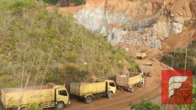 Foto menunjukkan beberapa truk berwarna kuning yang sedang mengangkut material tambang di area tambang batu. Terlihat jalur tanah berdebu yang dilalui truk serta tebing dengan lapisan batu yang telah dikupas. Vegetasi di sekitar lokasi tampak berkurang akibat aktivitas penambangan.