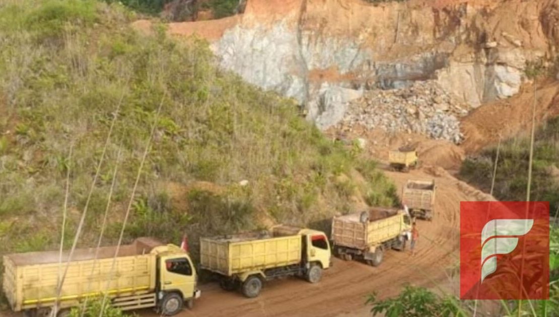 Foto menunjukkan beberapa truk berwarna kuning yang sedang mengangkut material tambang di area tambang batu. Terlihat jalur tanah berdebu yang dilalui truk serta tebing dengan lapisan batu yang telah dikupas. Vegetasi di sekitar lokasi tampak berkurang akibat aktivitas penambangan.