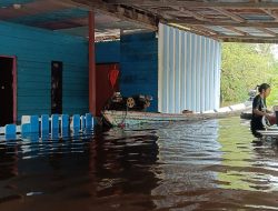 Kondisi Perumahan Warga Terendam Banjir di Ketungau Tengah Kabupaten Sintang. Foto: (Dok. istimewa)