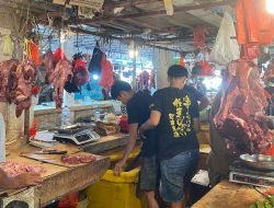 Pedagang Sapi Lokal Sintang Sepi Pembeli Akibat Daging Impor Lebih Murah: Pemerintah Diminta Segera Urus Masalah Ini