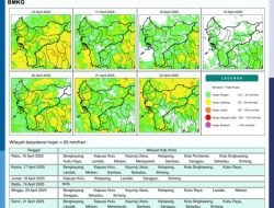 Wilayah Kalimantan Barat Diperkirakan Hujan Intensitas Sedang Hingga Deras