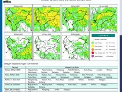 BMKG Perkirakan Wilayah di Kalimantan Barat Akan Banyak Hujan