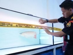 Gudang PT TJS Milik AG Di Pontianak Disegel Kementerian Kelautan dan Perikanan