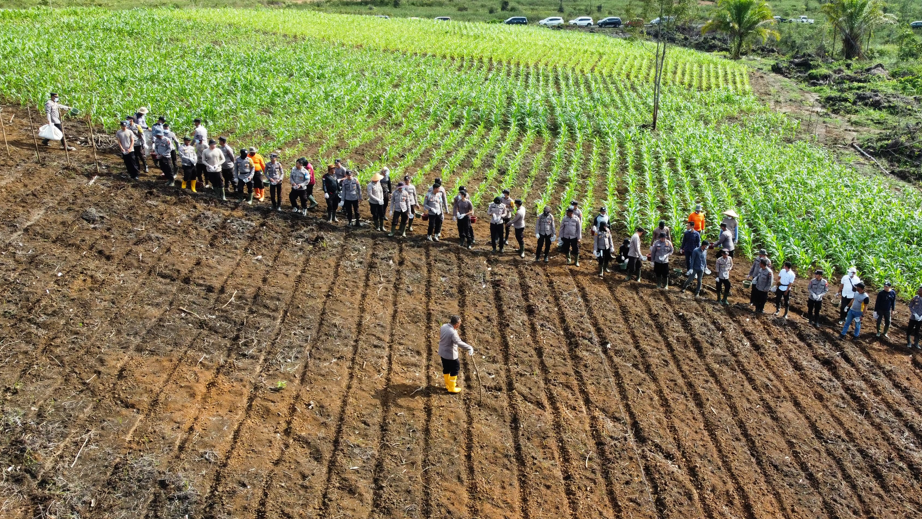 Polres Melawi kembali melakukan penanaman jagung. Kegiatan ini berlangsung di lahan seluas dua hektare di belakang Kantor Bupati Melawi, Rabu (23/4/25). Foto: HO/Faktakalbar.id