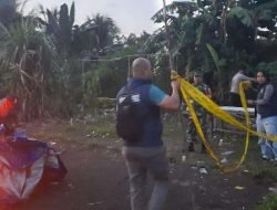 Praktik Judi Ayam di Kecamatan Sepauk dibongkar oleh Tim Resmob Polres Sintang