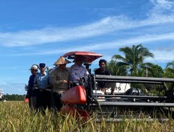 Kalimantan Barat Genjot Produksi Pangan, Tumbuh 9,21% di 2024